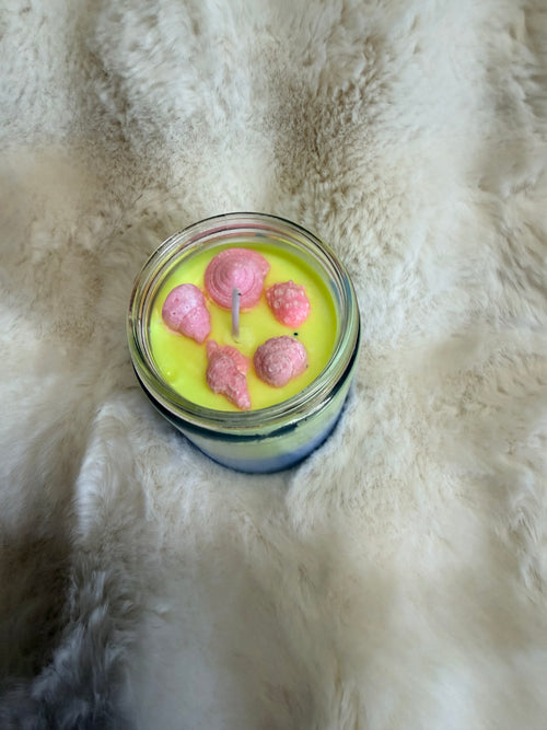 Fresh linen scented soy candle with seashells